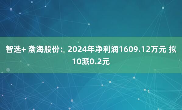 智选+ 渤海股份：2024年净利润1609.12万元 拟10派0.2元
