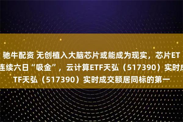 驰牛配资 无创植入大脑芯片或能成为现实，芯片ETF天弘（159310）连续六日“吸金”，云计算ETF天弘（517390）实时成交额居同标的第一