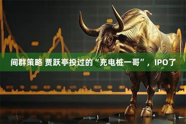 间群策略 贾跃亭投过的“充电桩一哥”，IPO了